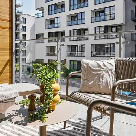 Velvet Dreams 46 Krasków